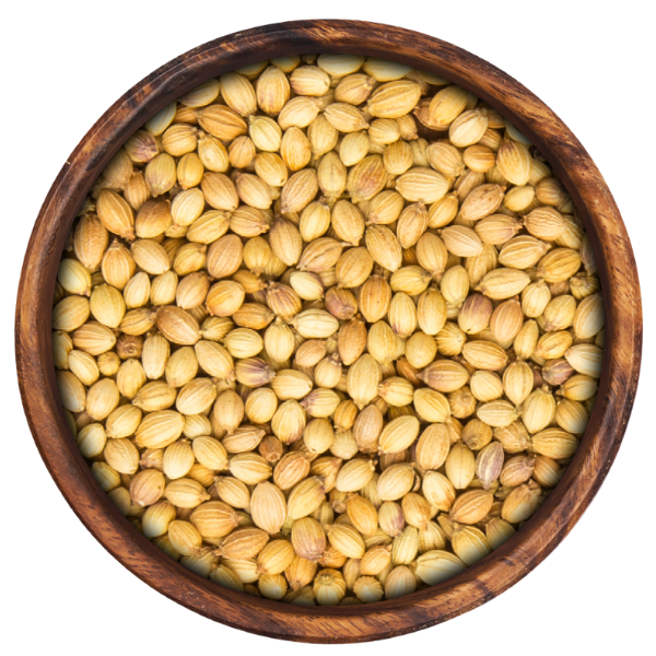 Coriander Seeds